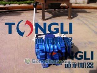 新疆沼气真空泵生产线与生产基地解析 赋能绿色能源与安全生产